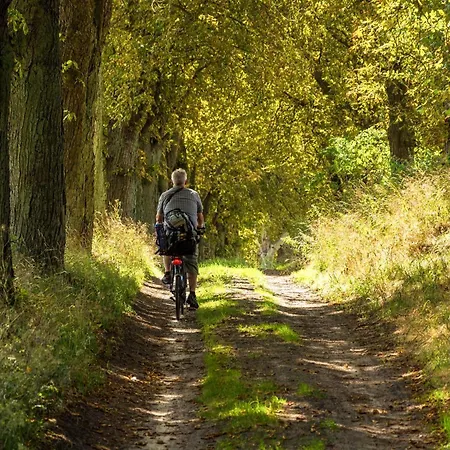 Storchenhorst - Gemuetliches Mit Kamin 公寓 高恩莱宾
