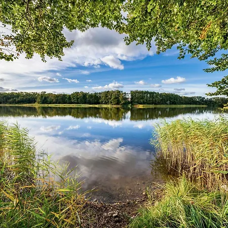 Storchenhorst - Gemuetliches Mit Kamin 公寓